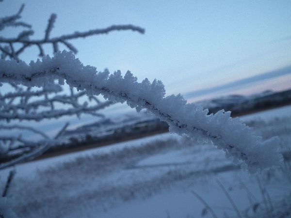 DSCF1145