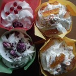 Bomb Bath Tulips Bomb Bath Tulips