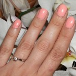 Barry M Peach Melba Barry M Peach Melba