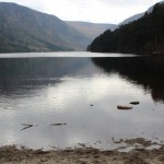 IMG_3049 IMG_3049